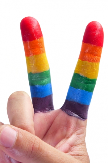Dia Internacional do Orgulho Gay